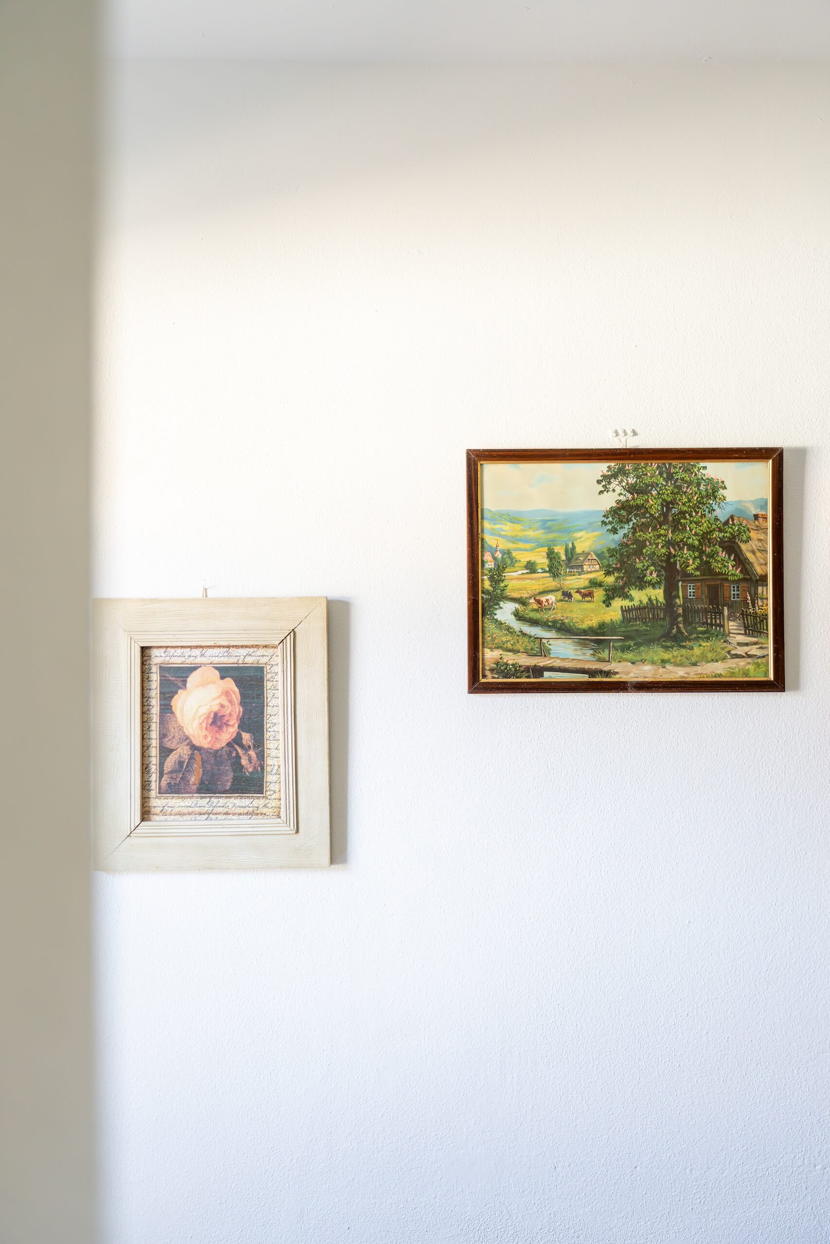 2024_07_31_Lutzmannsburg_Bungalow_Pannonia-15