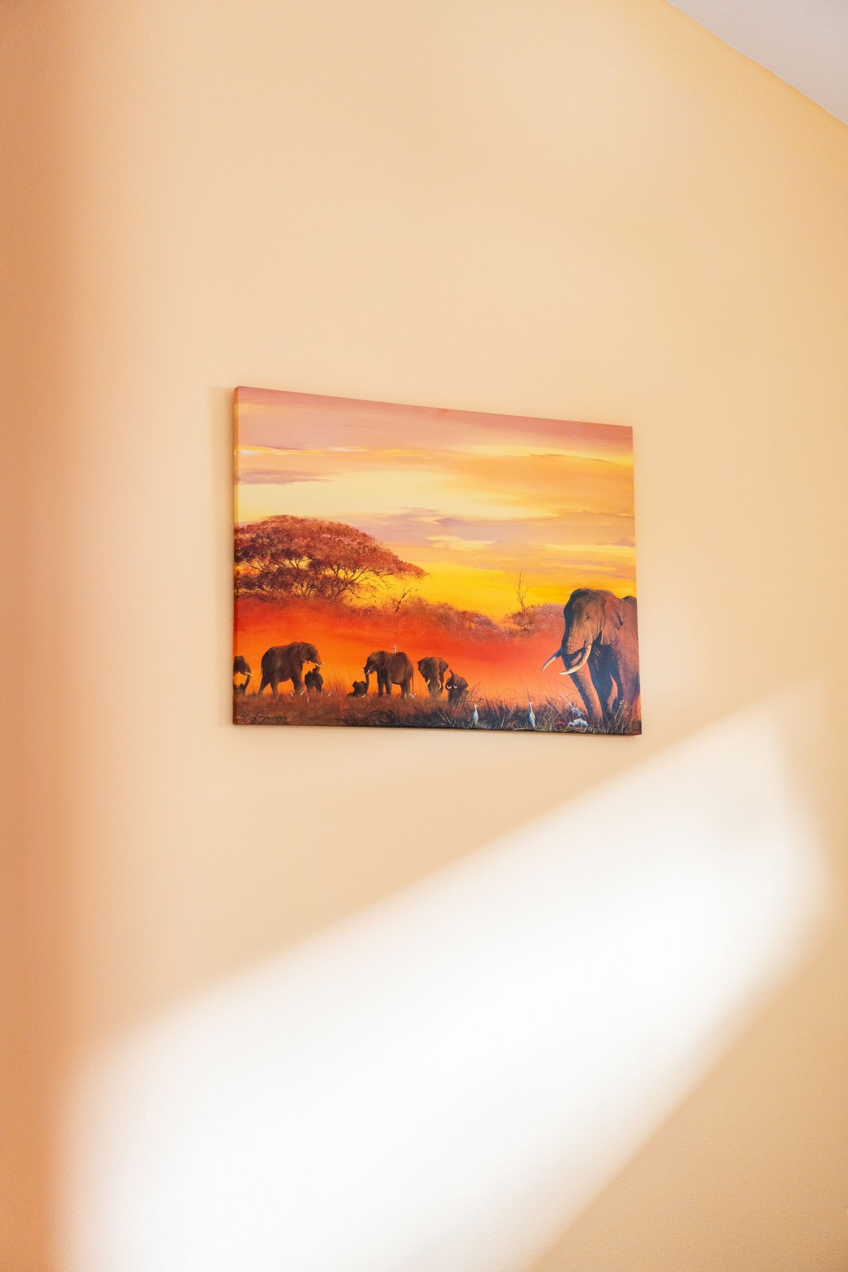 2024_10_02_Bungalow_Afrika-33